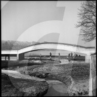 "Bodenseeputzete" 1967
