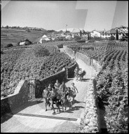 Riex; Kinder sammeln Brennholz; 1955