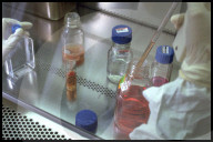 IKMI, Virenforschung