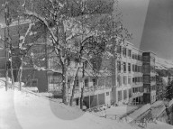 rdb00052959
