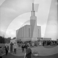 rdb00053315