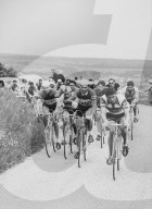 Tour de Romandie 1953: Ferdi Kübler 