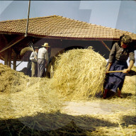 Frauen und Männer arbeiten bei einem Dreschplatz, Portugal 1960