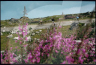 Mountainbike-Rennen Verbier-Grimentz 1990
