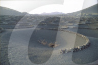 Vulkanlandschaft  auf Lanzarote 1992