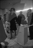 2. Eidgenössische Abstimmung über das Frauenstimmrecht, 1971