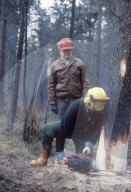 Alphons Egli bei Waldbegehung, 1984