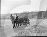 Pferdefuhrwerk, Stallikon, 1956