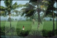 Flusslandschaft, Frau am Ufer, Indien 1981
