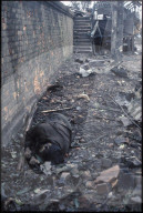 Opfer des Vietnamkriegs, Hue 1968