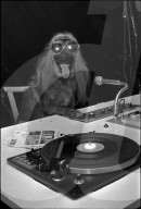 Schindellegi 1970: Hund als Discjockey