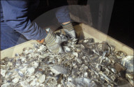Gold- und Silber-Giesserei in Valcambi, Altsilber