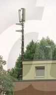 rdb00069072