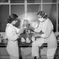 Pharma-Entwicklerinnen mit Maus, Basel 1952