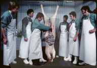 Schüler der landwirtschaftlichen Schule Schwand beim Metzgen, 1984