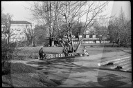 "Frühling" Ende Januar 1971
