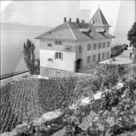 Das Rebgut "Domaine du Burignon", 1957