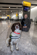 FEATURE - Zollhund erschnüffelt geschmuggeltes Geld