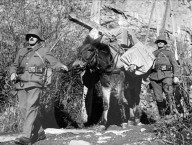 Schweizer Feldpost, um 1940