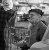 Mann mit Kanarienvögel, Saint-Ouen, Paris 1961