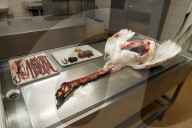 Schwan auf Obduktionstisch, Verdacht auf Vogelgrippe, Zürich 2006