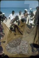 Fischer mit Fischfang, Strand von Kerala 1981