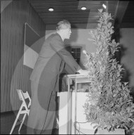 Paul Torche, Ständerat, 1960