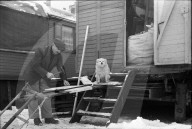 Revisionsarbeit in Schaustellerbetrieb 1942