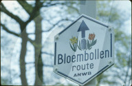 Blumenblütenweg in Holland 1980