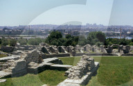 rdb00085153