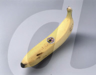 rdb00087261