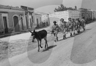 WK II: Befreiung Siziliens durch die Alliierten 1943
