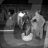 Bekämpfung der Maul- und Klauenseuche, 1953
