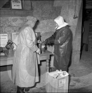 Bekämpfung der Maul- und Klauenseuche, 1953
