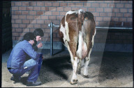 Tierkunde an der landwirtschaftlichen Schule Schwand, 1984