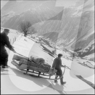 Das 1000. Bett der Bettenaktion des Roten Kreuzes, 1956