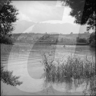 Ruderboot auf Thunersee, Ufer bei Gwatt; 1962