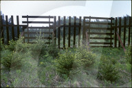 Lawinenschutz aus Holz, 1990