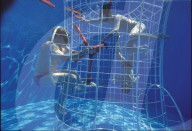 Astronauten üben Montage-Arbeiten unter Wasser, 1990