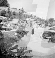 rdb00090422