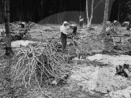 Waldrodung durch internierte Polen bei Renens 1943