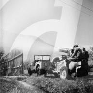 Maikäferbekämpfung im Wallis, 1950