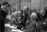 Bundesratswahl 1982: Stimmabgabe