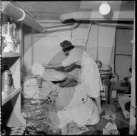 Zürcher Studentin richtet Haus ein für Kollegen aus Ungarn 1956