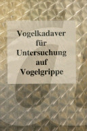 Schild: Vogelkadaver für Untersuchung auf Vogelgrippe
