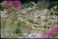 Mountainbike-Rennen Verbier-Grimentz 1990