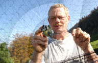 Markus Bader untersucht die Gesundheit von Zugvögeln in Lauwil BL, 2005