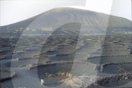 Vulkanlandschaft  auf Lanzarote 1992