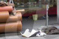Bandenkrieg in Vevey 04: Toter Pitbull und Kleider auf Boden