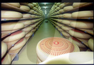 Käse-Lager von Swiss Dairy Food